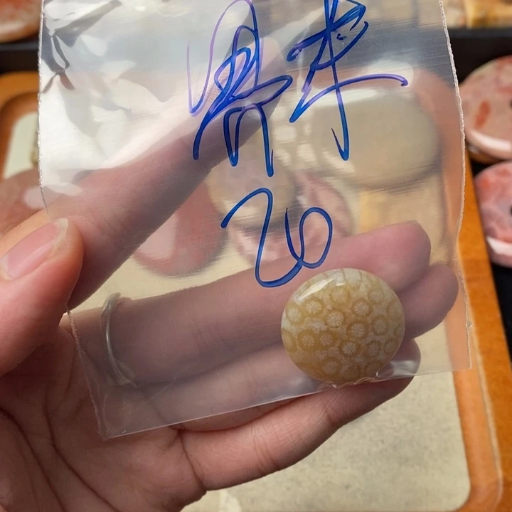 硅化玉颈饰未镶嵌界*、