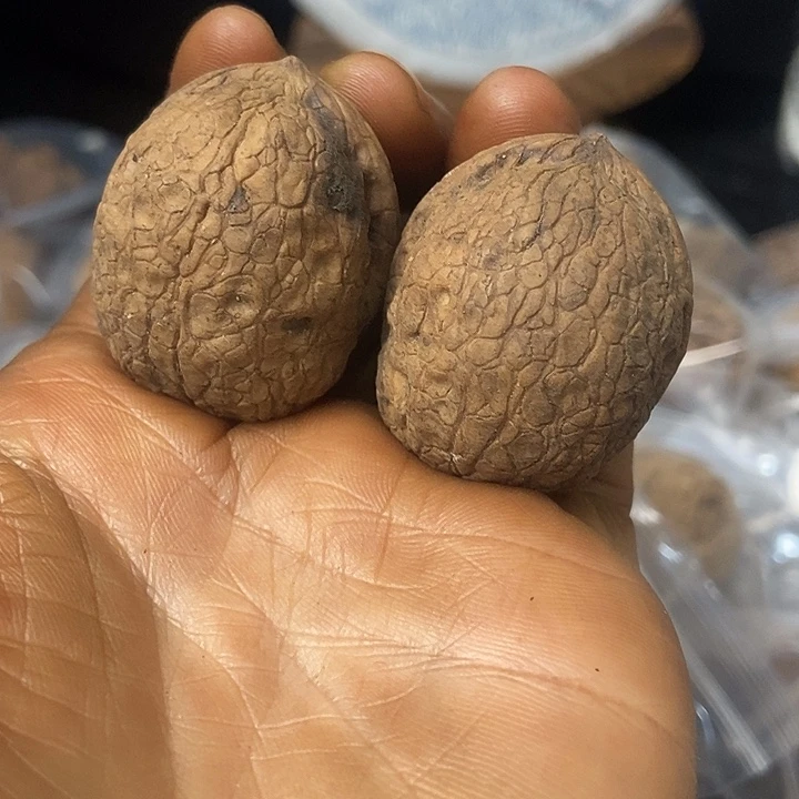 把件文玩核桃云南铁核桃基地36