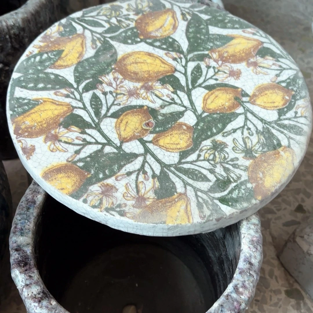 许纯的花房 柠檬托