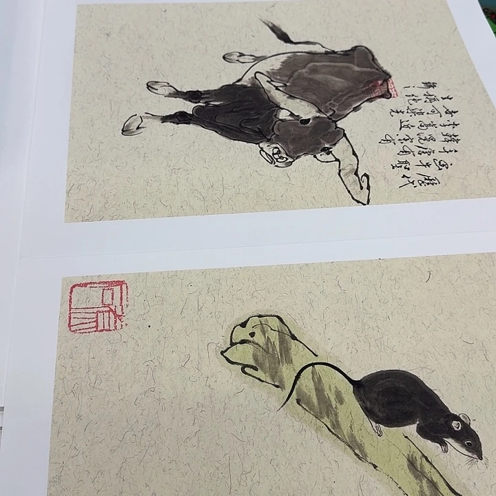 书法我也不知道我为什么要