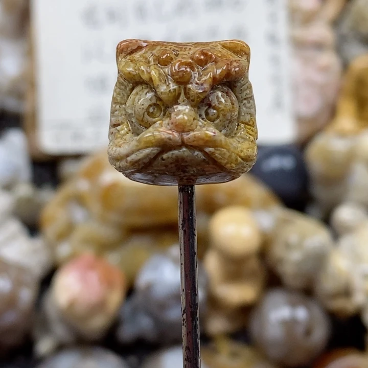 颈饰未镶嵌硅化珊瑚（珊瑚玉）