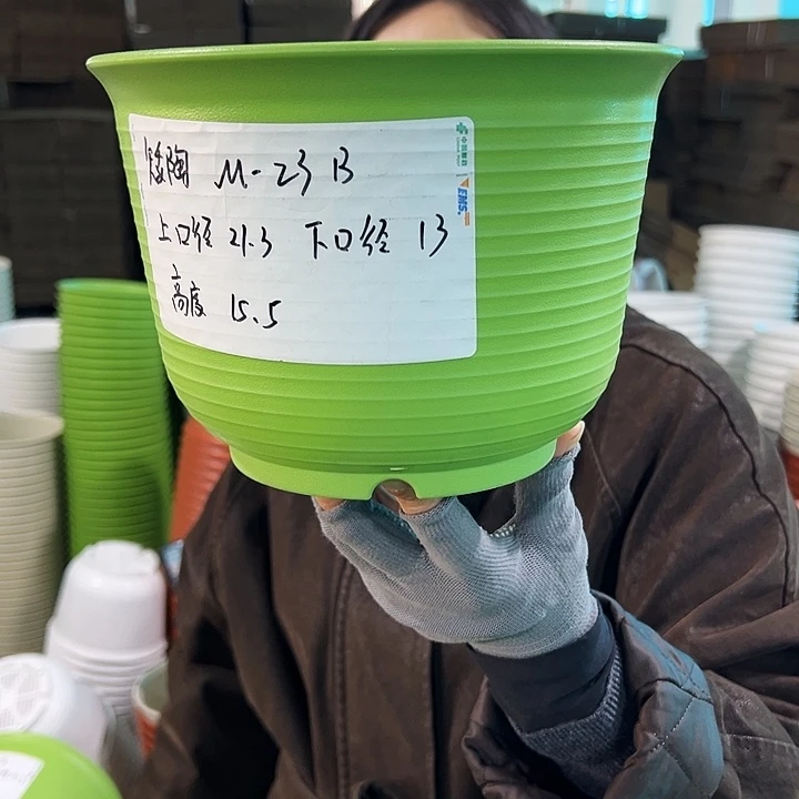 正品矮陶口21高15果绿无托8个