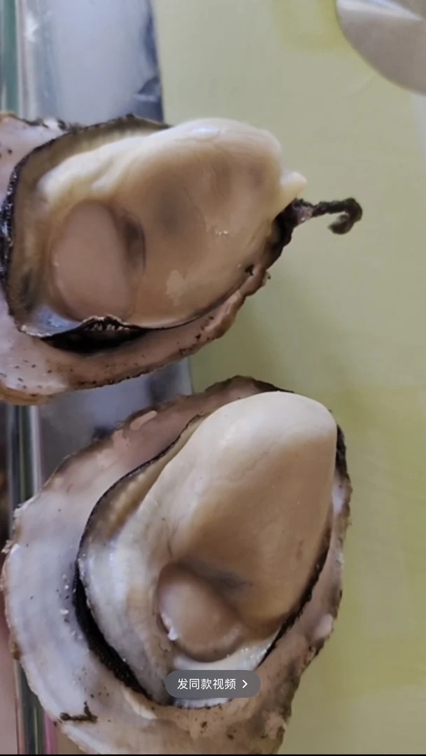 红岛野生薄皮海蛎子皮薄肉嫩口感鲜美（1斤10个左右）生蚝顺丰包邮