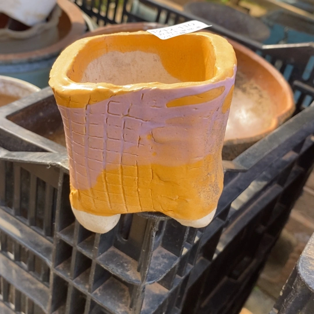 110号多肉盆口径6小可爱