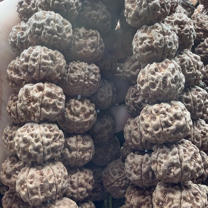 吊坠金刚菩提神秘一号18左右