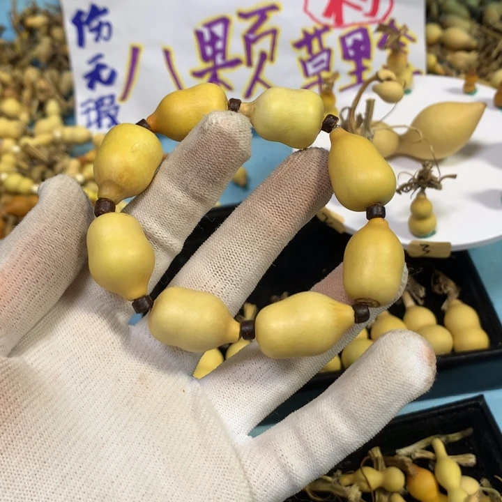 晨***静秒拍秒退拉黑！打孔不退不换