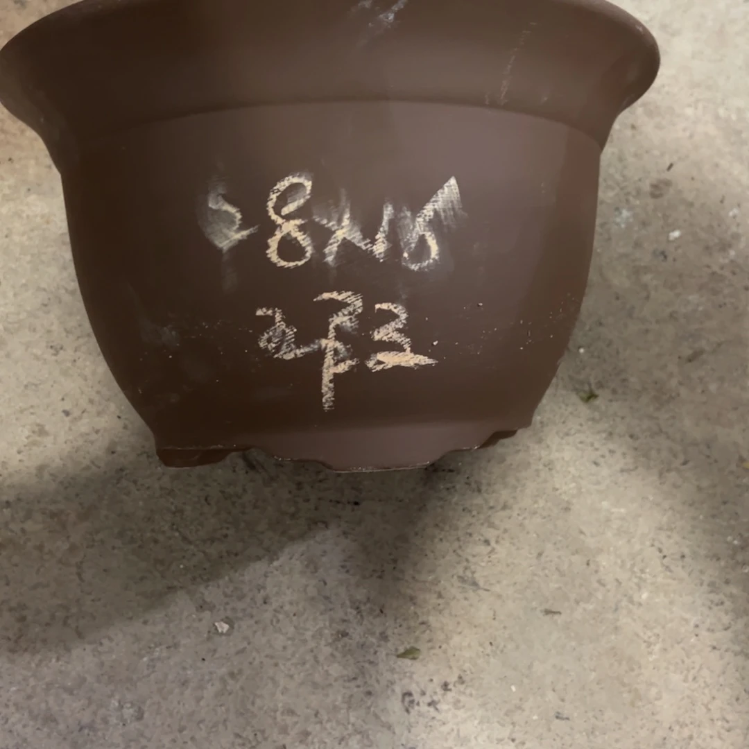 紫砂工艺厂……紫砂工艺厂……