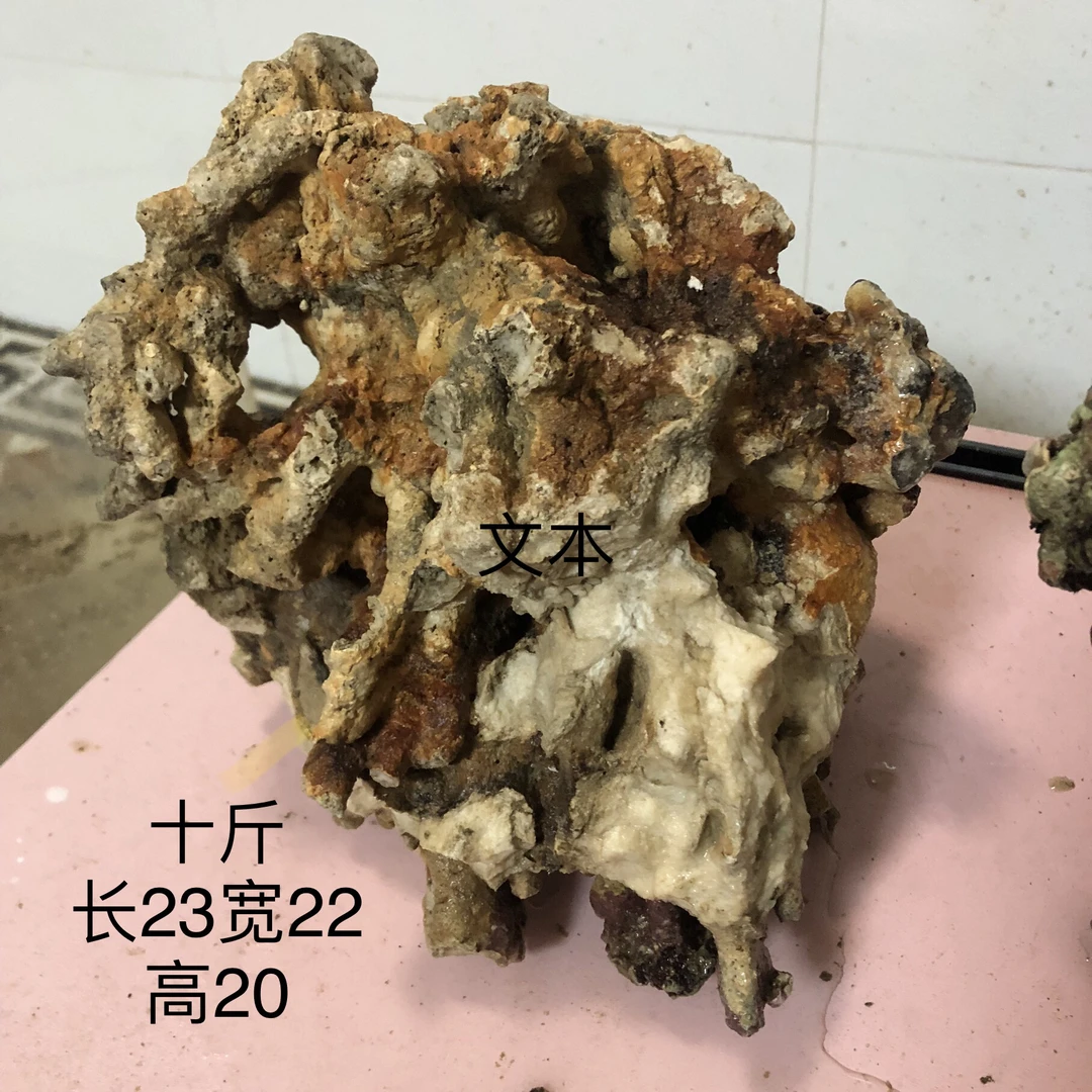 善水阁白心活石。一石成景区。一图一石，拍完这辈子都没有相同的。