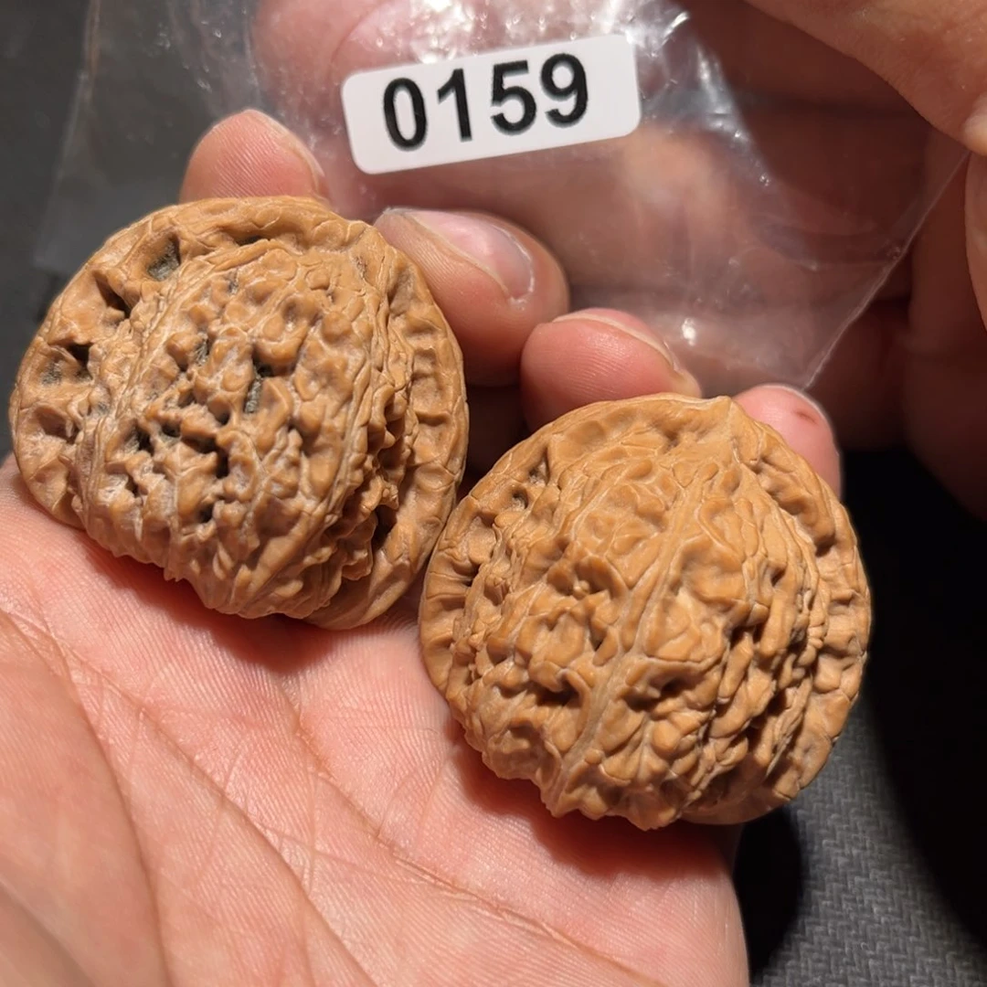 文玩核桃把件40白狮子