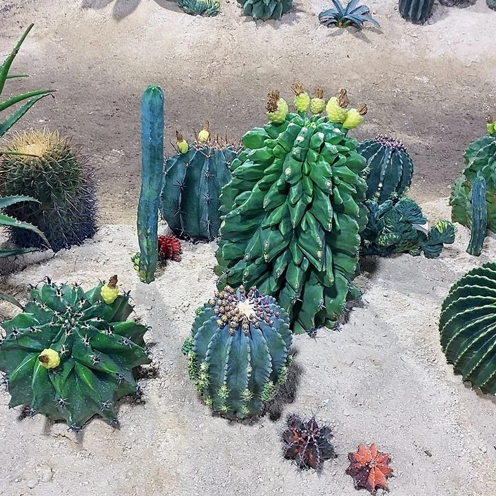 T****t00000000000oooooooo