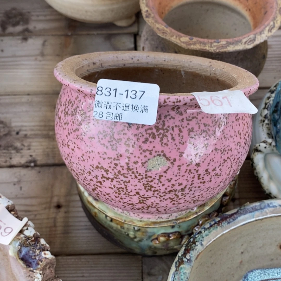 137号花盆内10高9