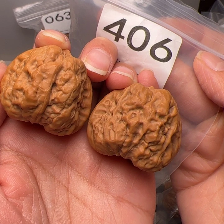 核桃39边41肚全品406