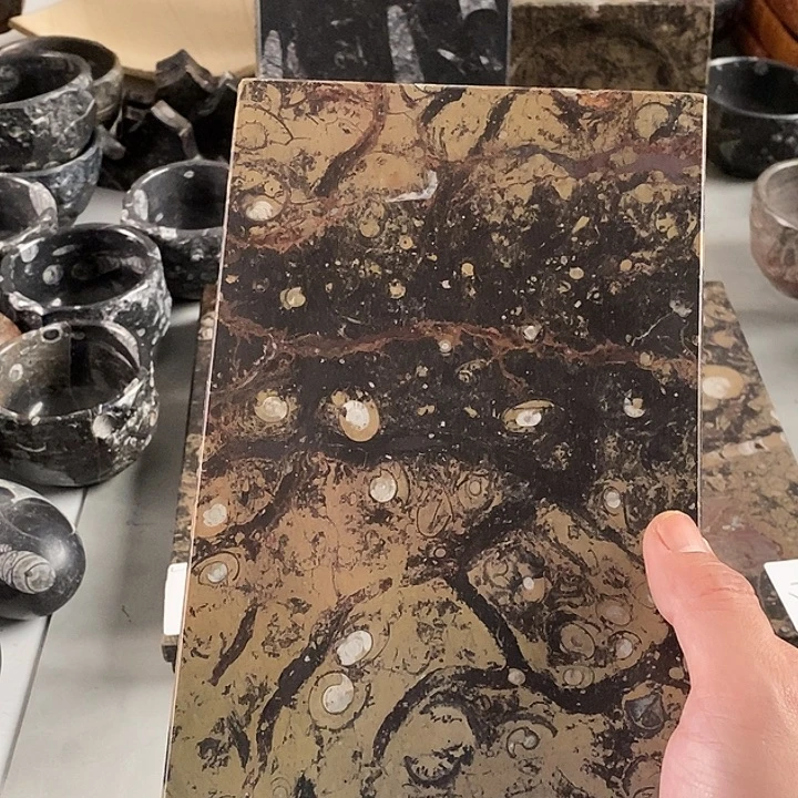 若***哥化石茶盘粉丝福利