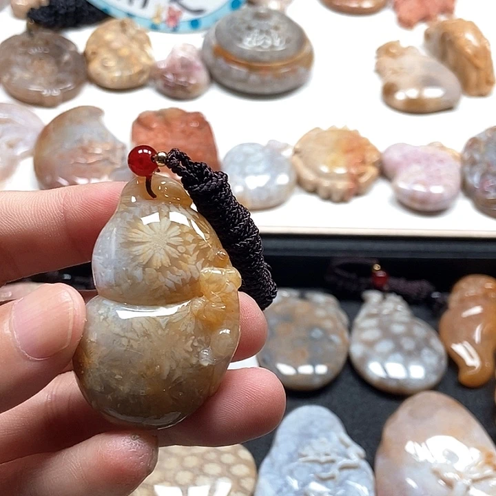 硅化珊瑚（珊瑚玉）未镶嵌颈饰