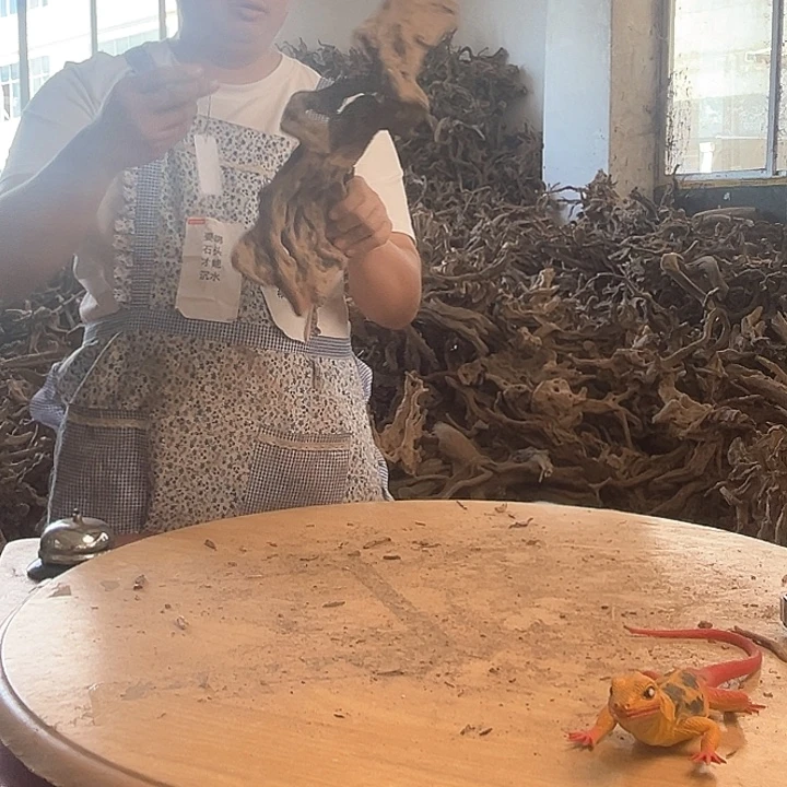 木鱼缸造景根雕艺术127