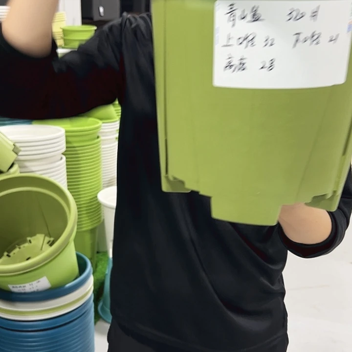 青山口32高28果绿色5只无托