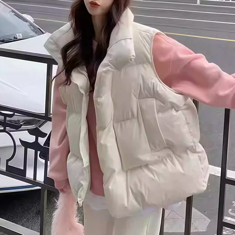 2025秋冬新款立领加厚马甲休闲简约气质保暖短款时髦坎肩外套女士