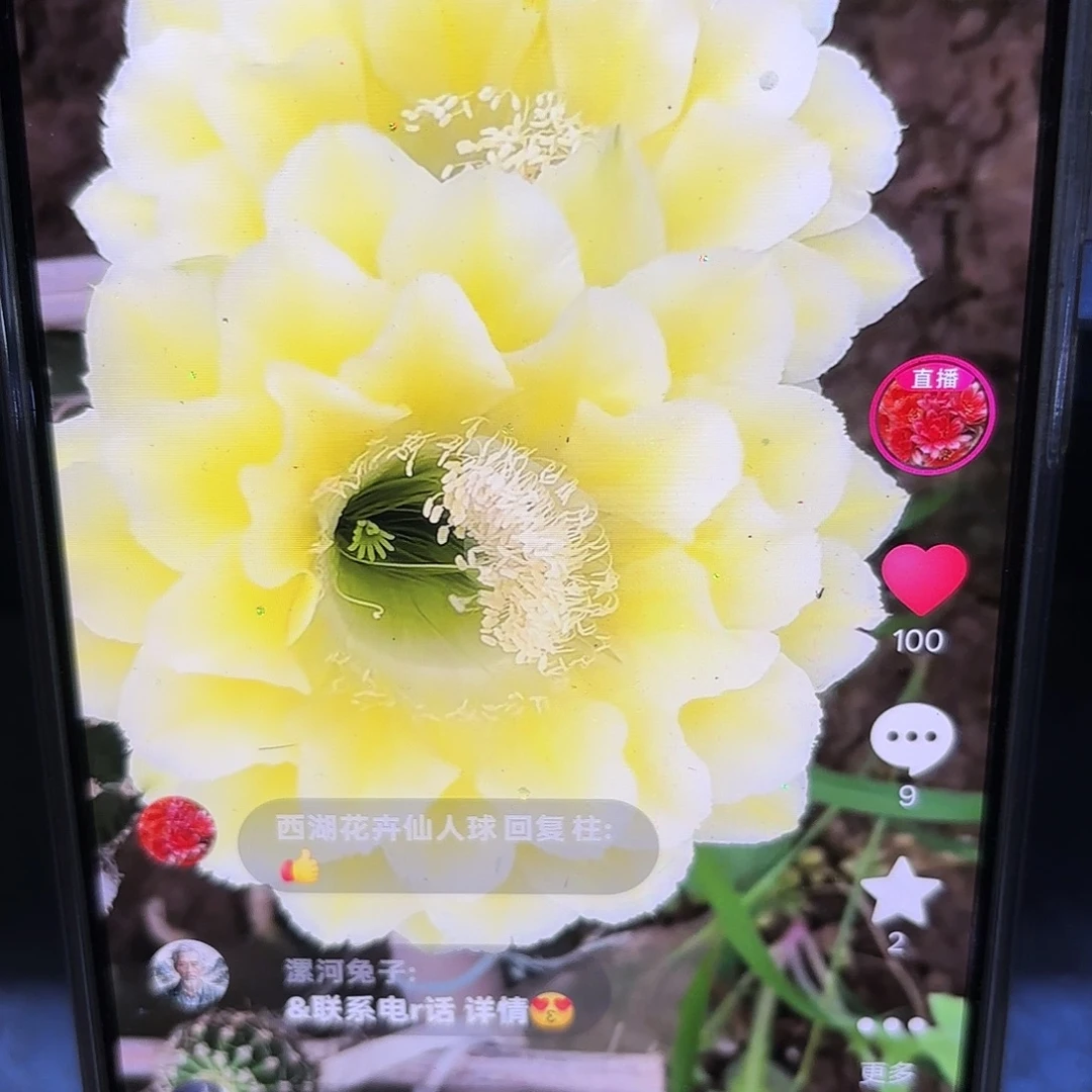 16-89彩侧牙20包邮21