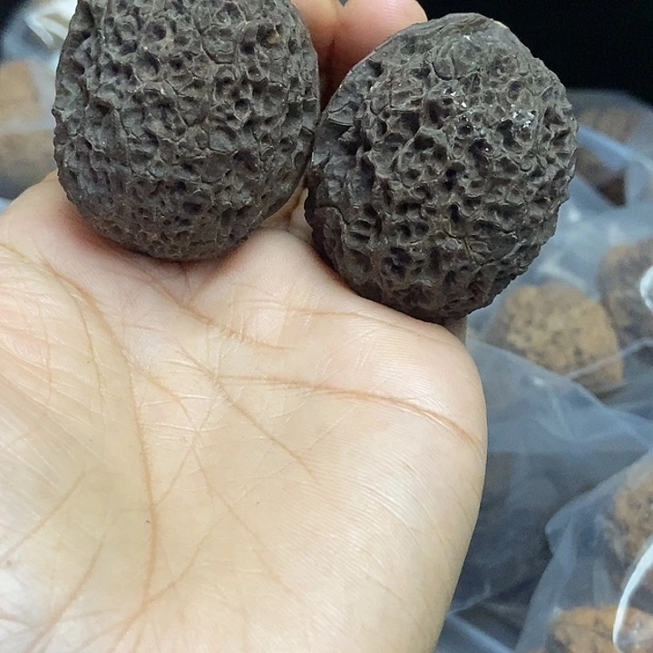 木质类云南铁核桃基地23