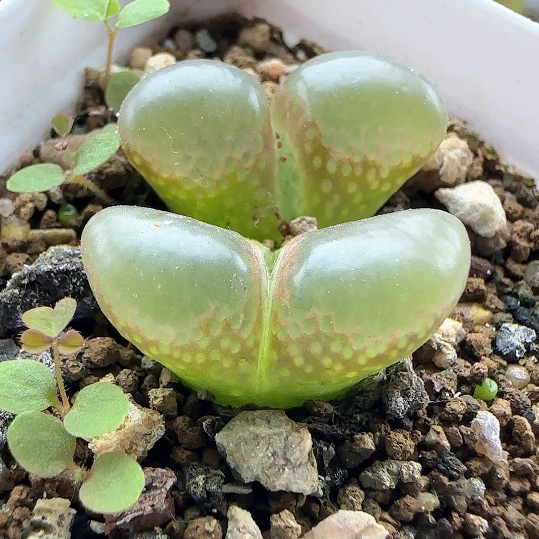 哈哈哈哈哈哈哈哈哈哈43380