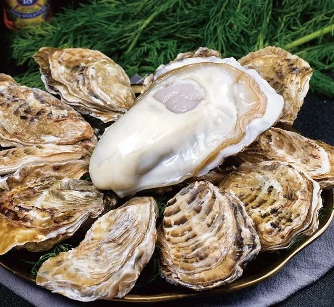 精品乳山生蚝鲜活到家总重5斤（无外礼箱，贵在运费）
