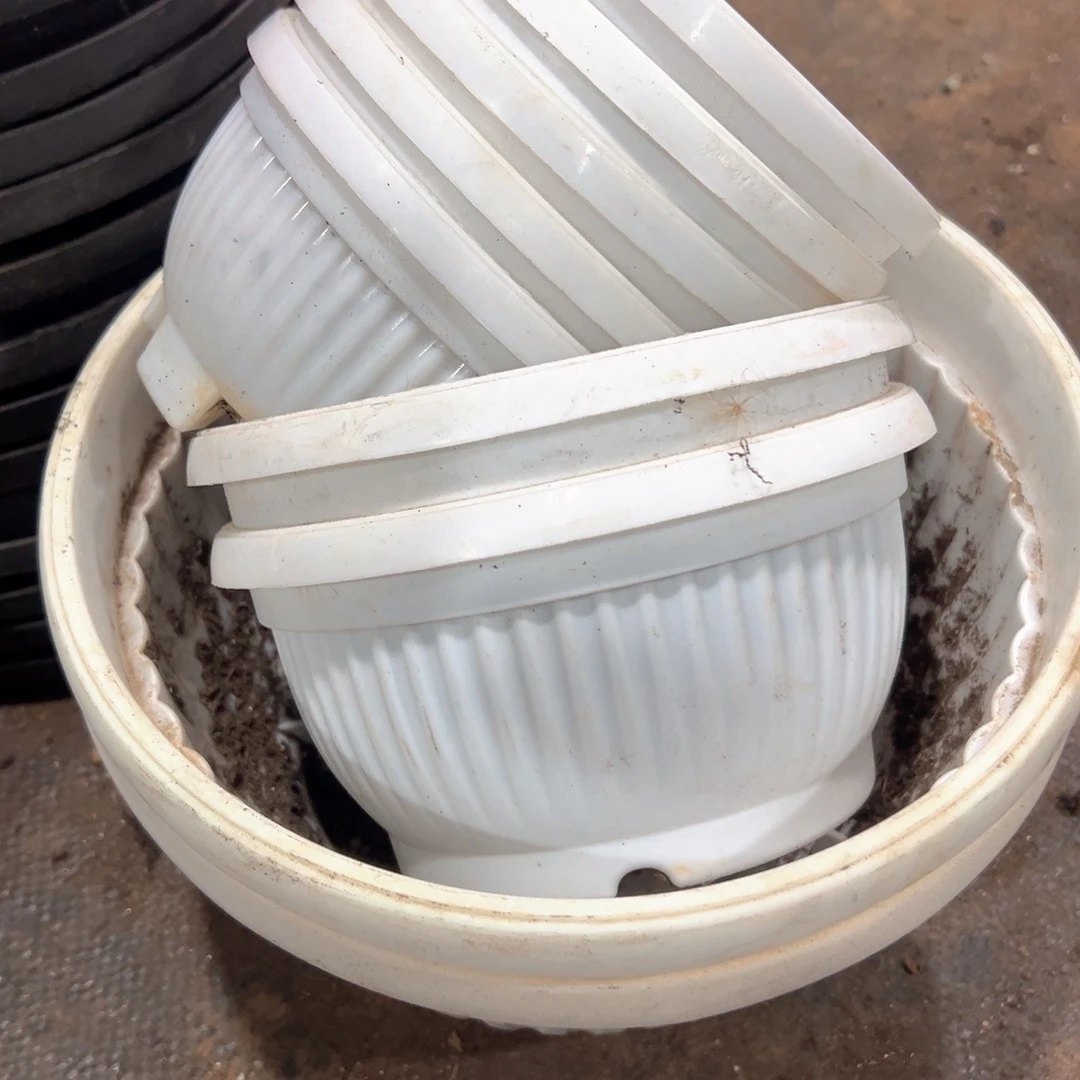 白元宝盆14-16-24口径 9个