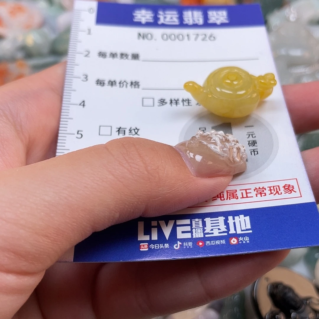 翡翠未镶嵌颈饰1726