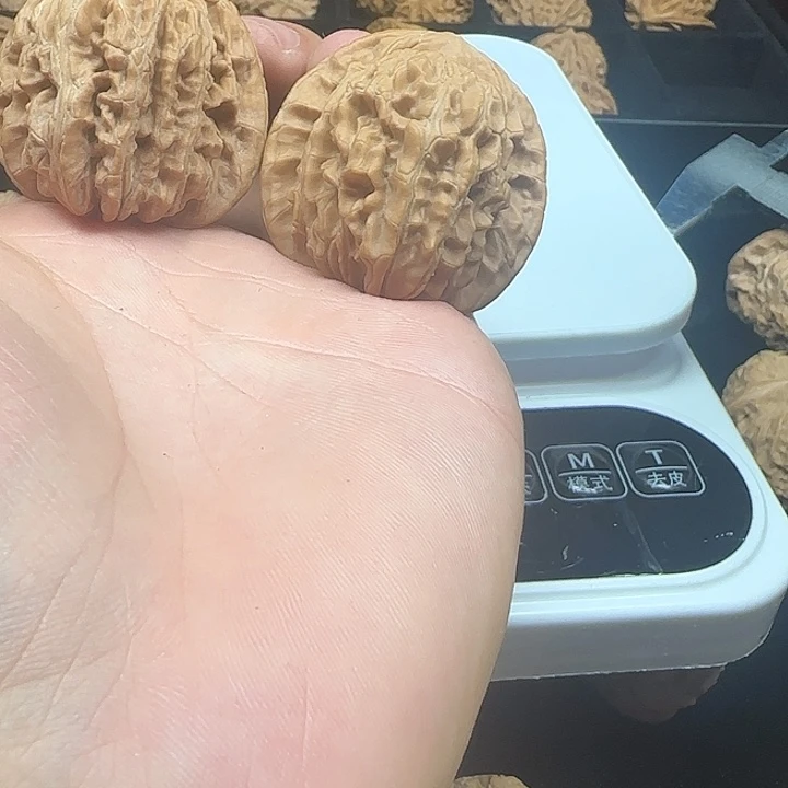 ****‍龙脊菩提吊坠啊啊啊啊啊四座楼6