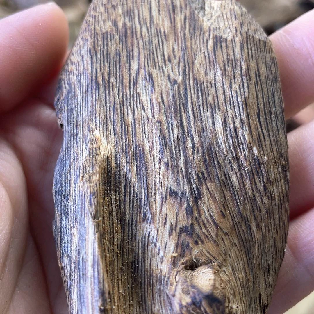 木绿奇楠原材料虫漏21克