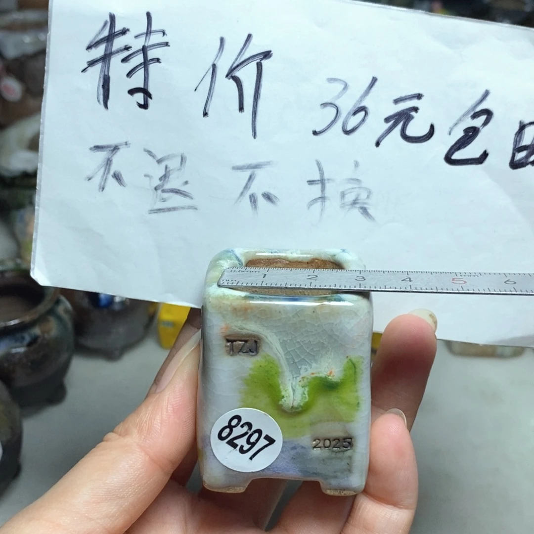 拍5送一个小礼物