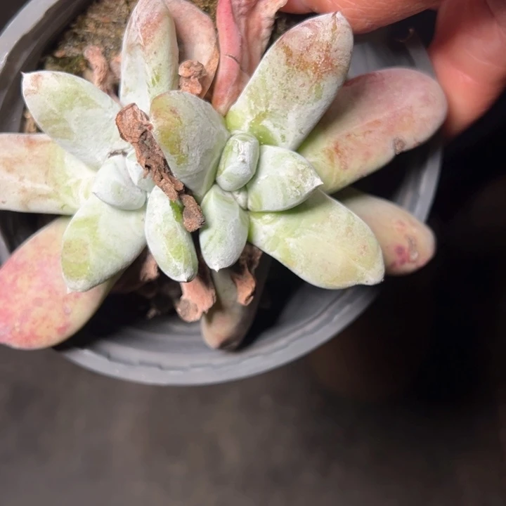 1356哈哈哈哈哈哈哈哈