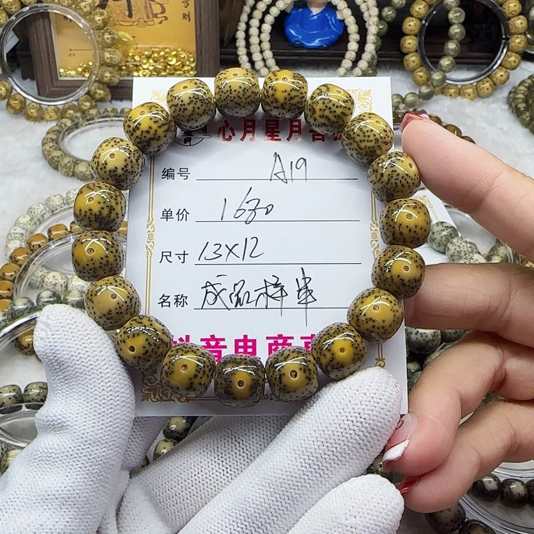 阳***吗海南心月星月菩提A19