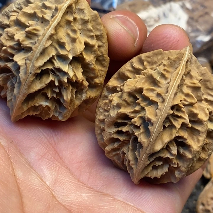 吊坠文玩核桃娜姐70