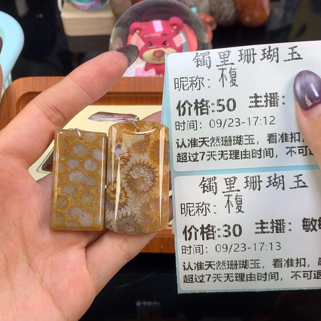 【闪购商品】颈饰未镶嵌硅化珊瑚（珊瑚玉）不*