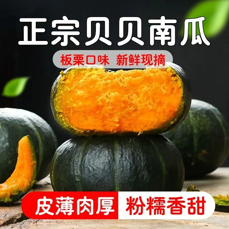 正宗贝贝南瓜沙地精选粉糯香甜适合宝宝辅食老南瓜
