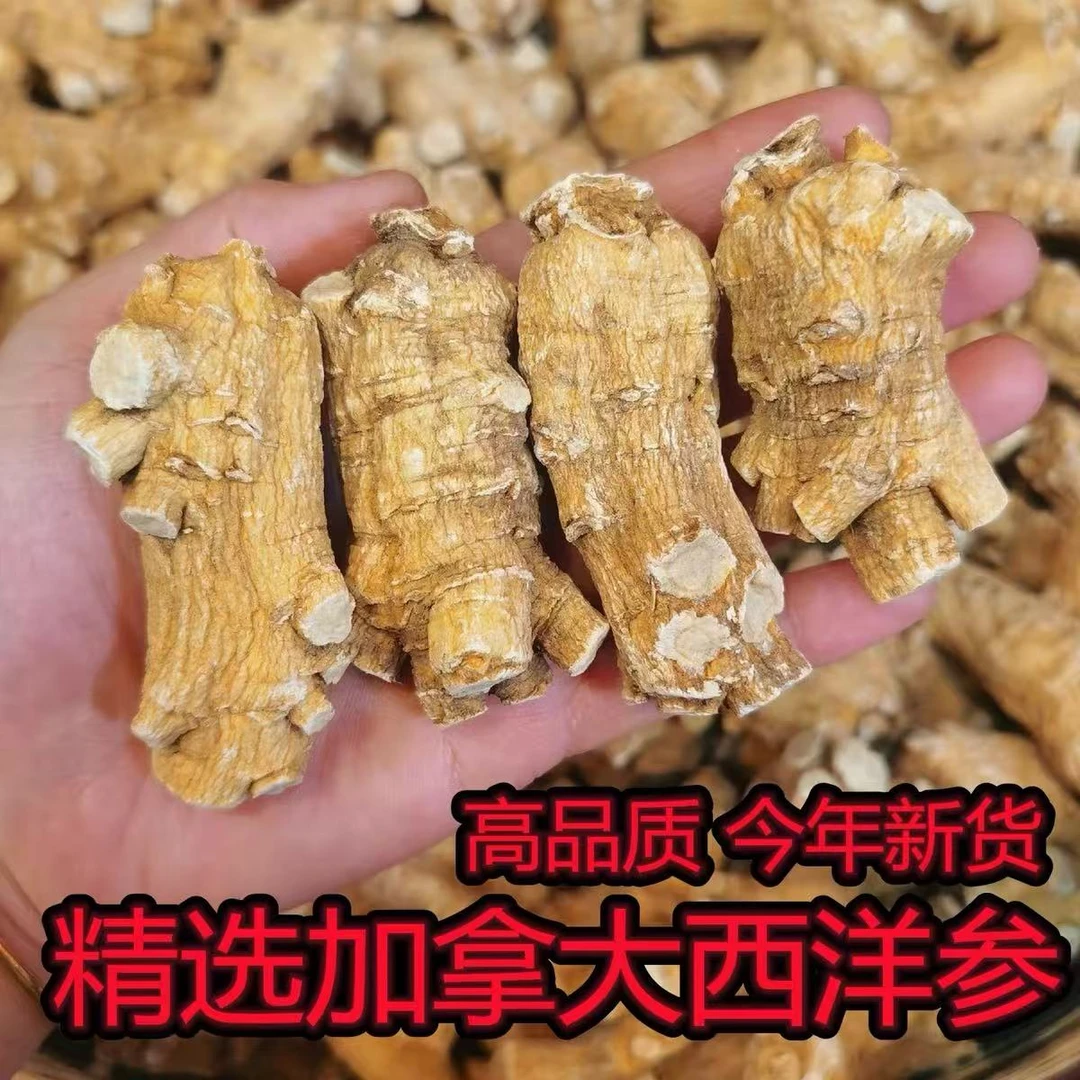 【20克/一粒】8年加拿大西洋参短支粒头软支参可切片打粉