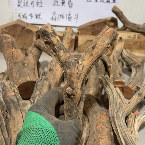 大果紫檀（缅甸花梨）毅