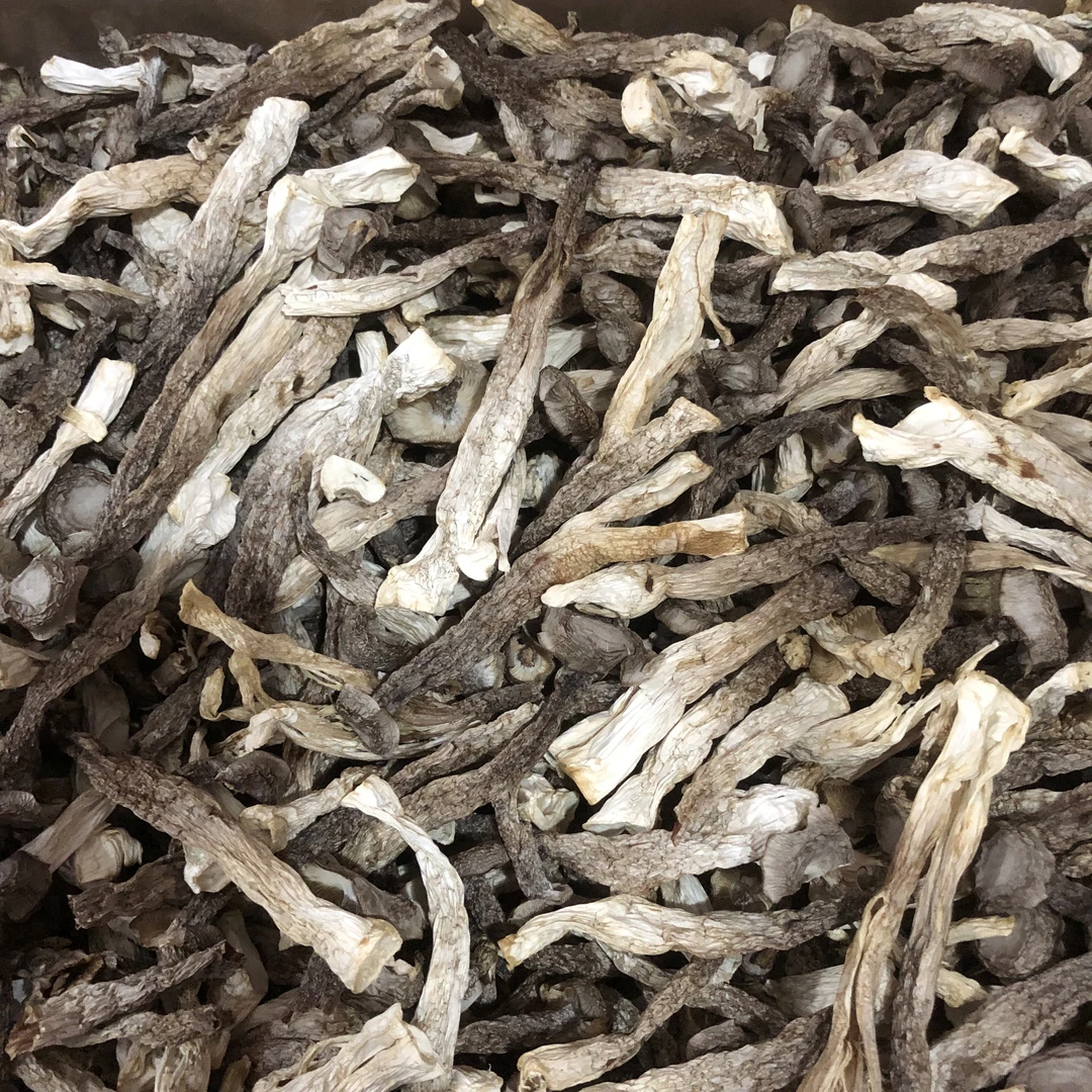 优质雅货鹿茸菇500g