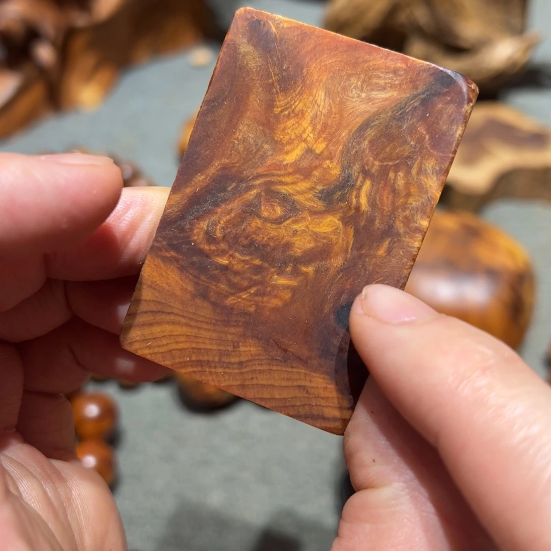 柏木（崖柏）北太行陈化崖柏