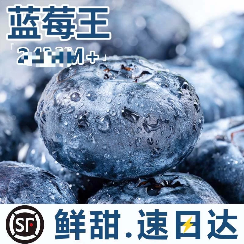 8盒 霸王莓30- 22＋ 100g每盒新鲜蓝莓水果