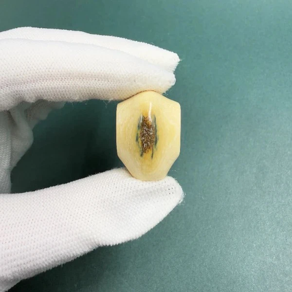 H5753天然猛犸牙鲨鱼背蓝眼三通配饰 支持鉴定 假一罚四