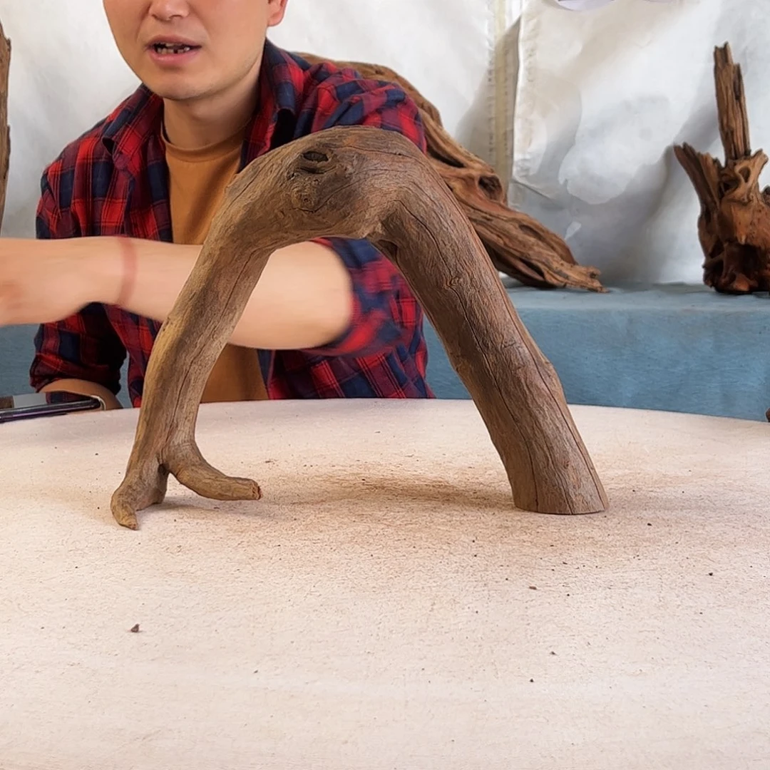 沉木造景爬宠造景