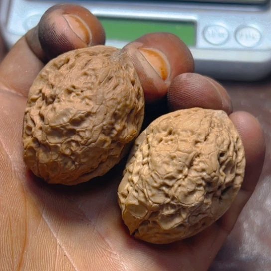 把件文玩核桃卡35尖屁屁27号