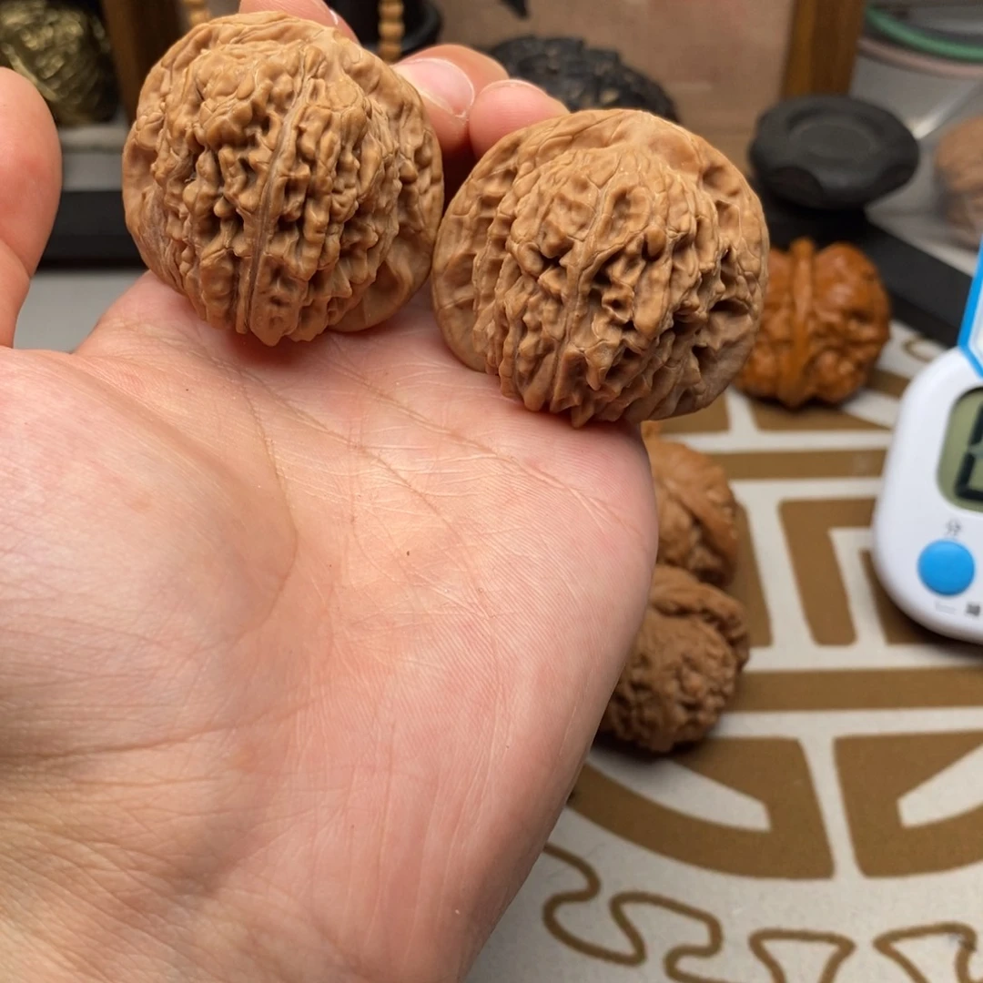 四座楼哈哈哈哈哈哈哈哈44