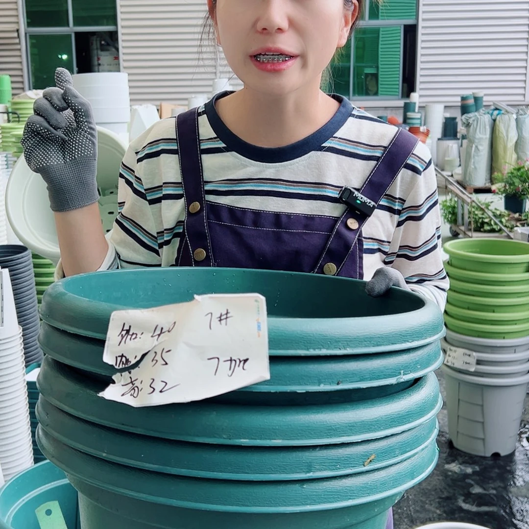 青山盆7#墨绿5个无托