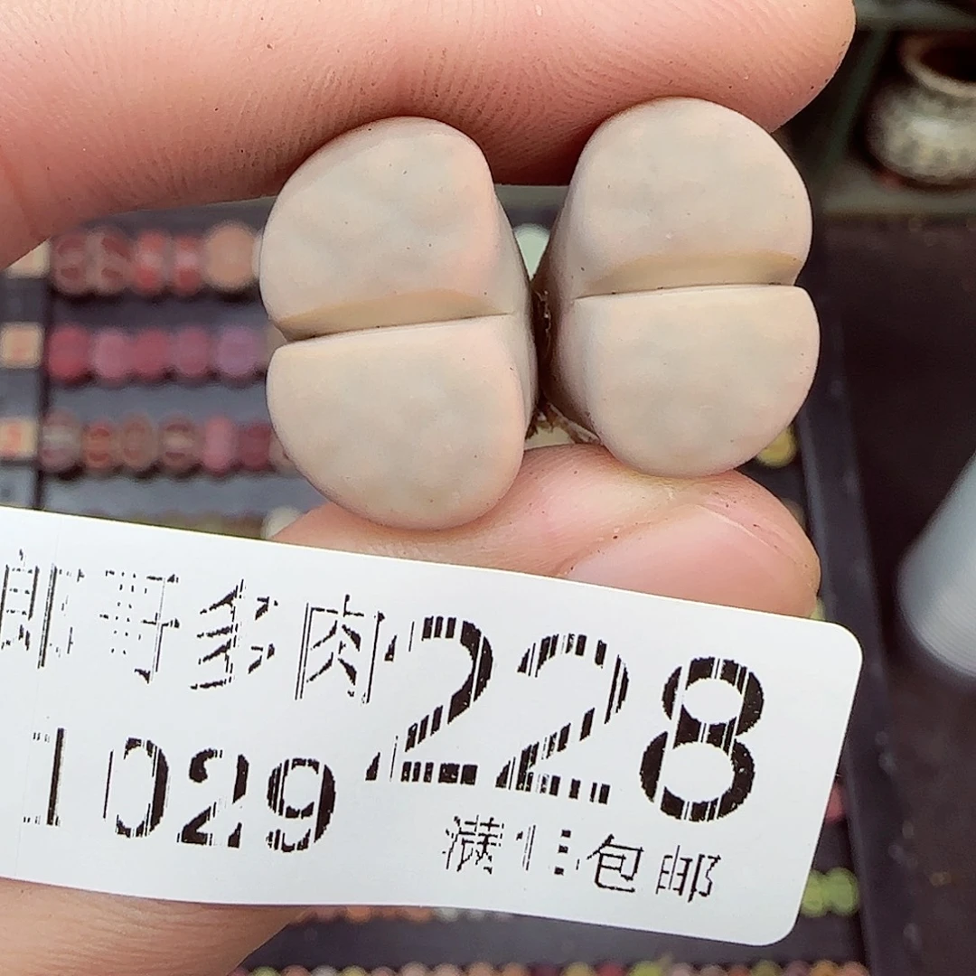 满满18包邮1029-228