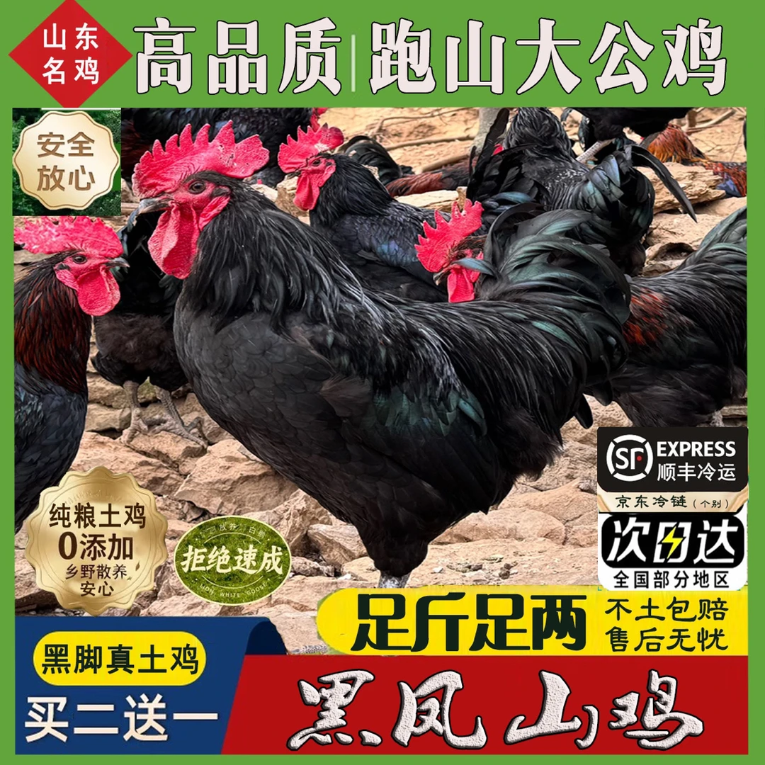 【黑脚真土鸡】3只黑凤大公鸡买2送1毛重15-17斤净重共9-10斤带内脏