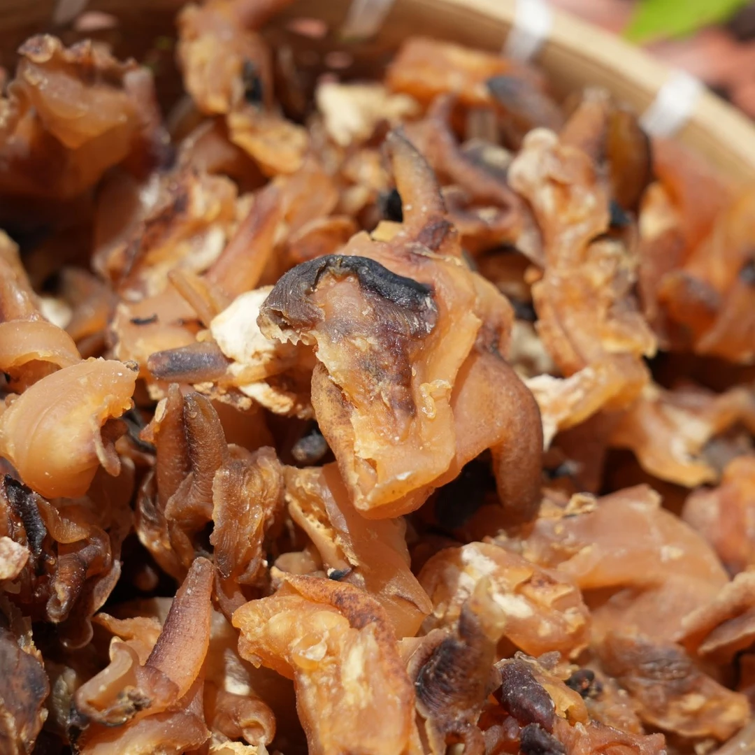 深海螺嘴肉干货煲汤炖汤靓料