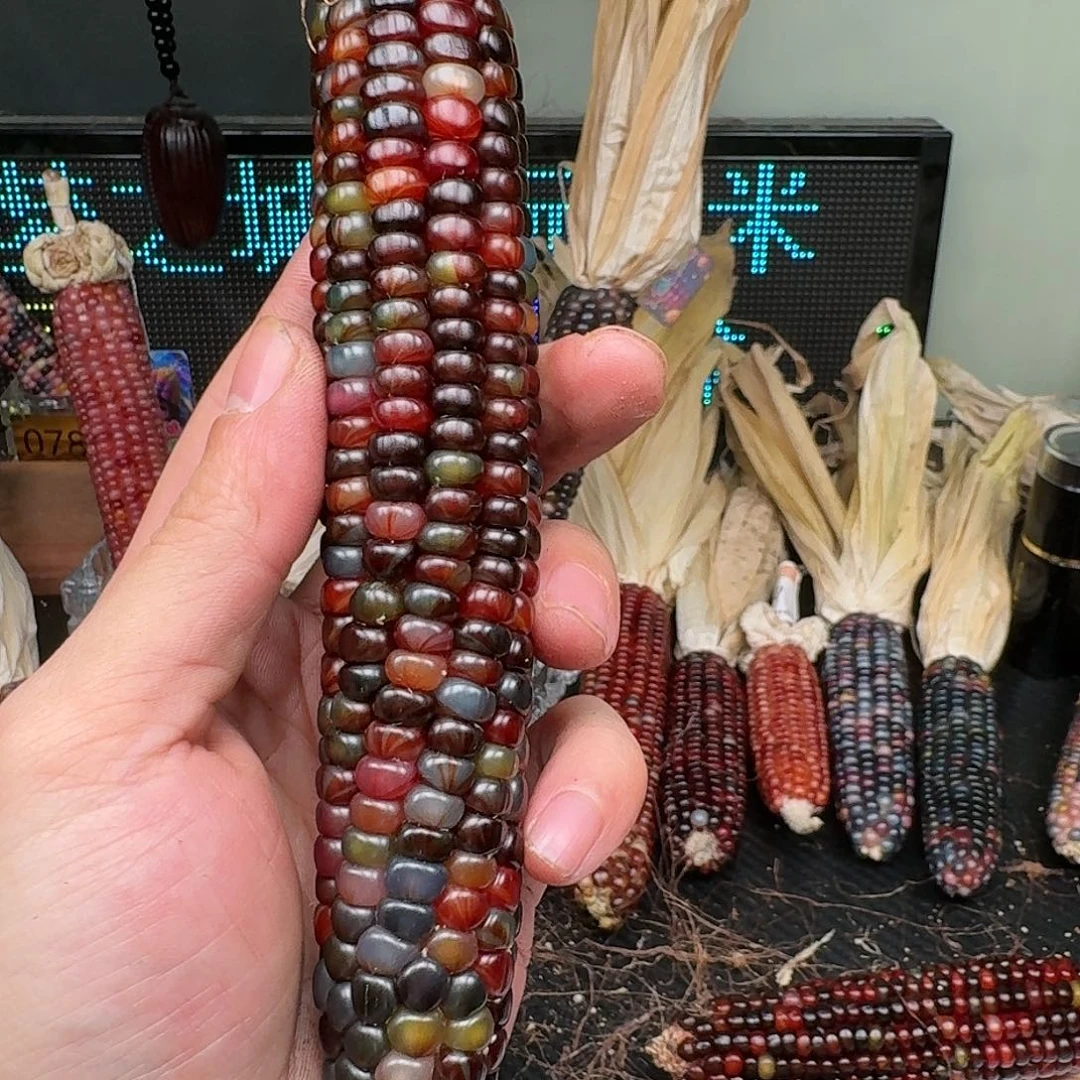 柏香籽/百香籽吊坠米*