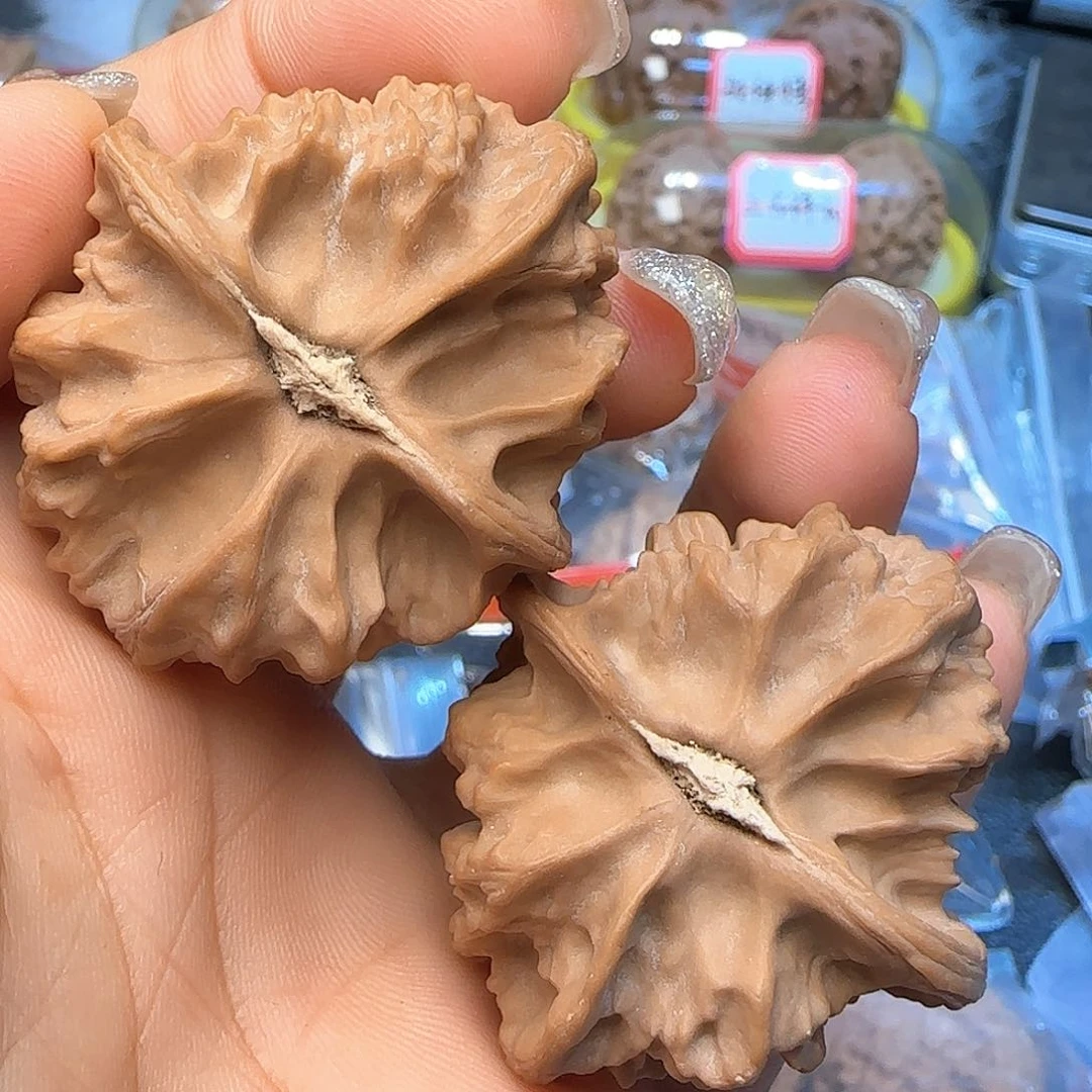 文玩核桃吊坠39龙骨